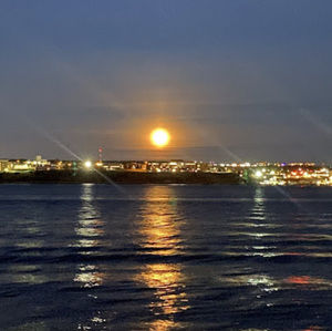 Meet your Posher, Nikita